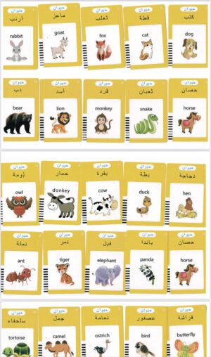 Electronic Vocabulary Flashcard