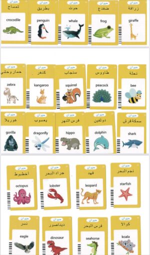 Electronic Vocabulary Flashcard